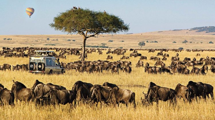 3 Days Masai Mara 4×4 Private Camping Safari - 7 Pax | Kenya Tours